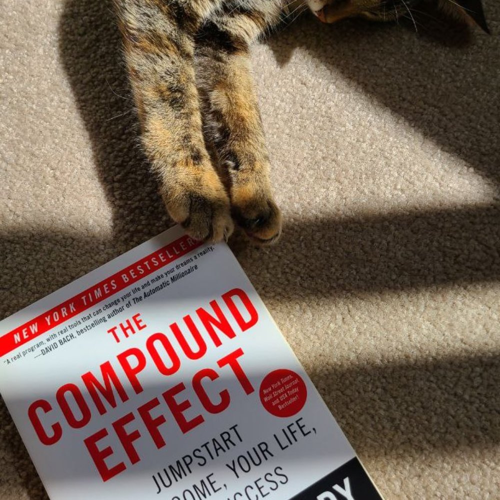 4/$20 The Compound Effect by Darren Hardy (Paperback) - Picture 5 of 5